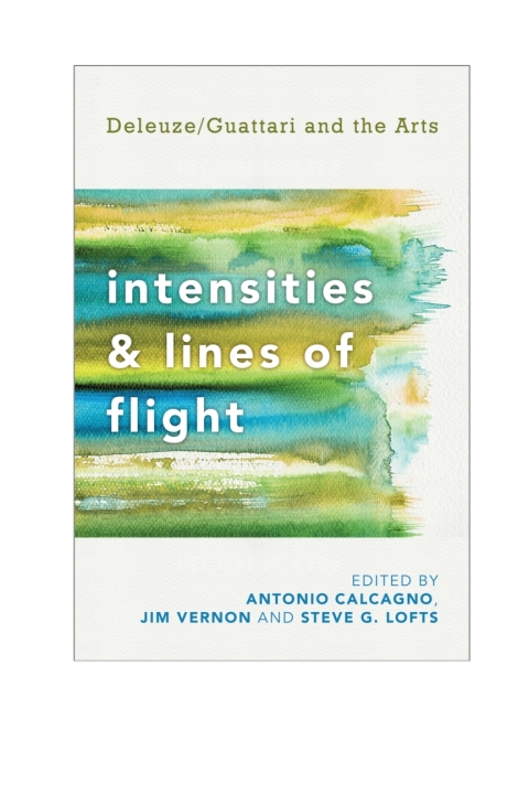 Cover image for book Intensities and Lines of Flight