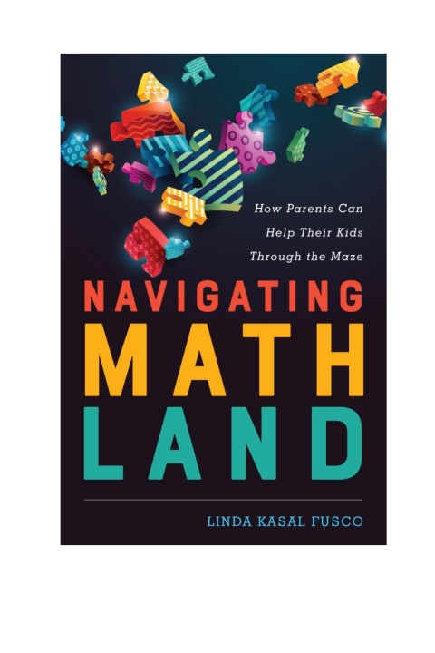 Cover image for book Navigating MathLand