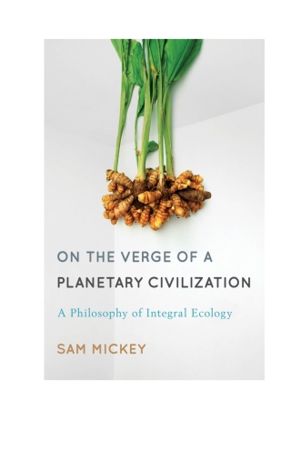 On the Verge of a Planetary Civilization