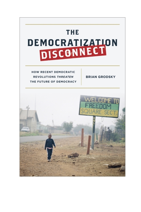 Cover image for book The Democratization Disconnect