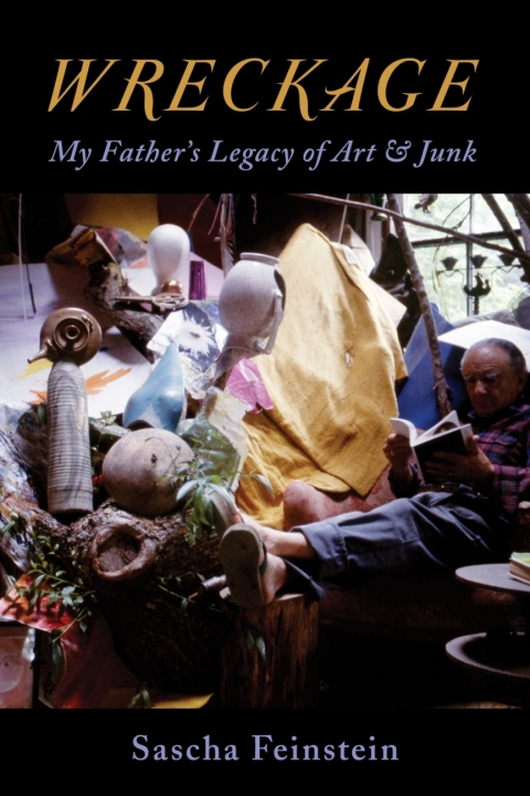 Cover image for book Wreckage