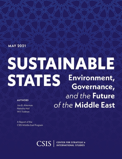 Cover image for book Sustainable States