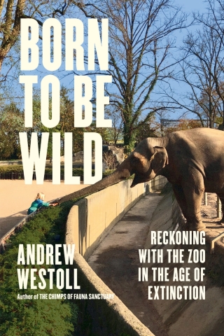Born to Be Wild