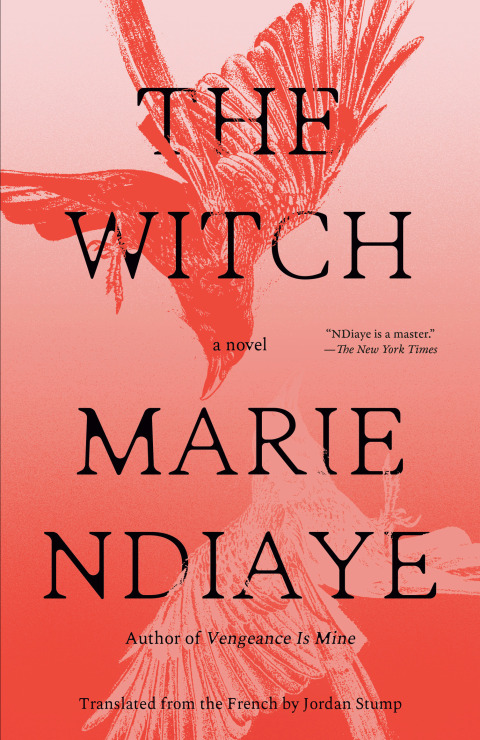 Cover image for book The Witch