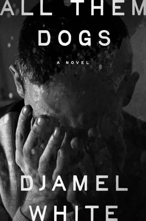 Cover image for book All Them Dogs