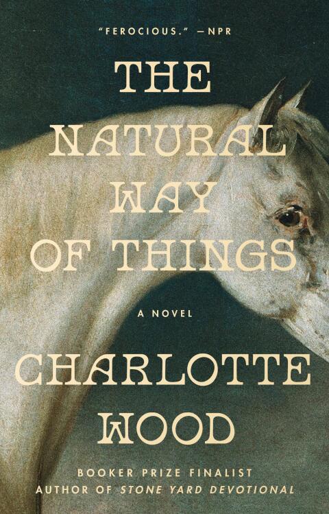 Cover image for book The Natural Way of Things