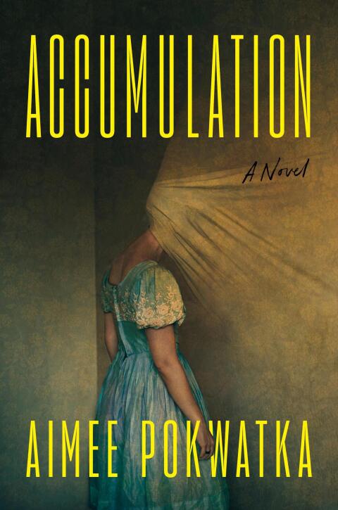 Cover image for book Accumulation