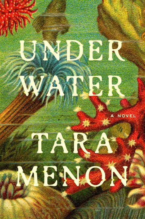 Cover image for book Under Water