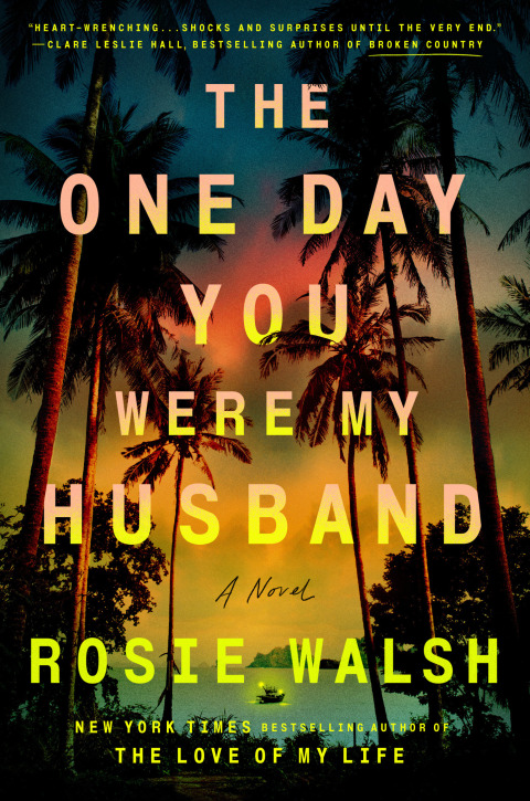 Cover image for book The One Day You Were My Husband