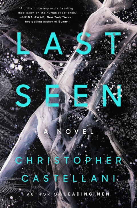Cover image for book Last Seen