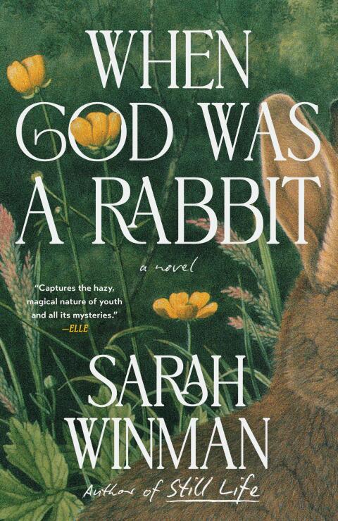 Cover image for book When God Was a Rabbit