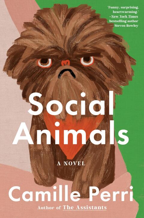 Cover image for book Social Animals