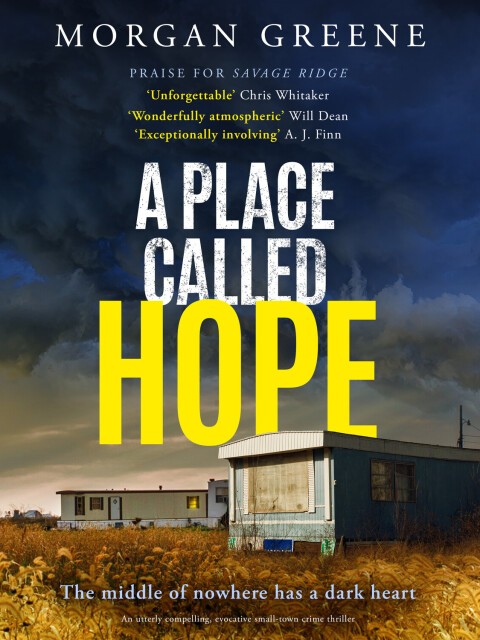 Cover image for book A Place Called Hope