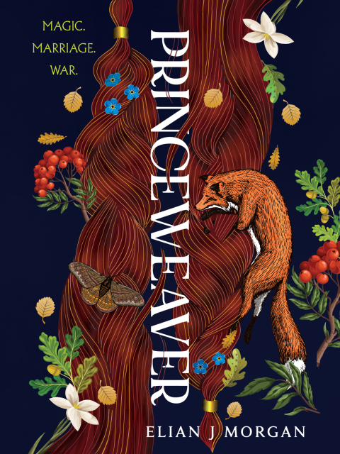 Cover image for book Princeweaver