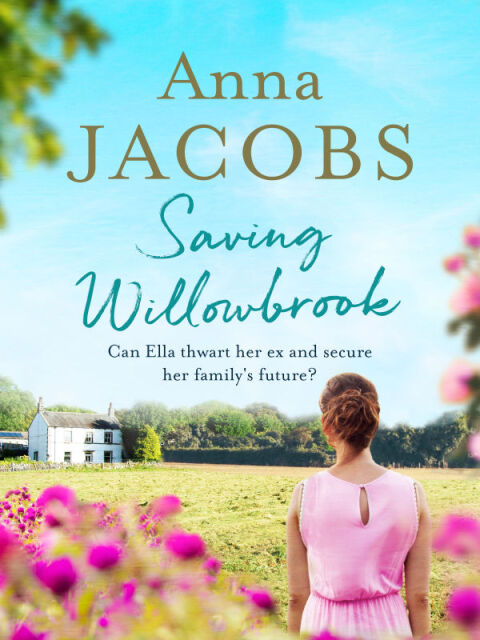 Cover image for book Saving Willowbrook