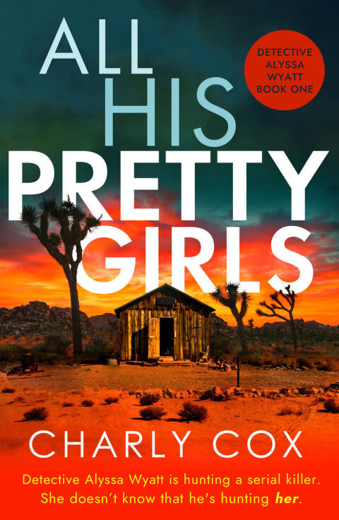 Cover image for book All His Pretty Girls