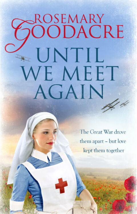Cover image for book Until We Meet Again