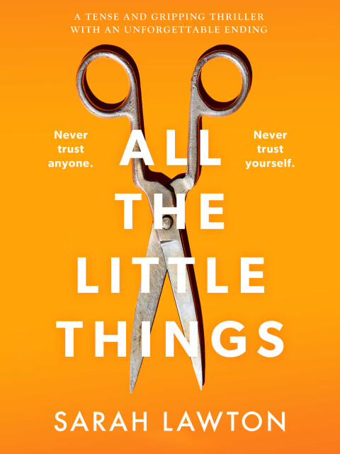 Cover image for book All The Little Things
