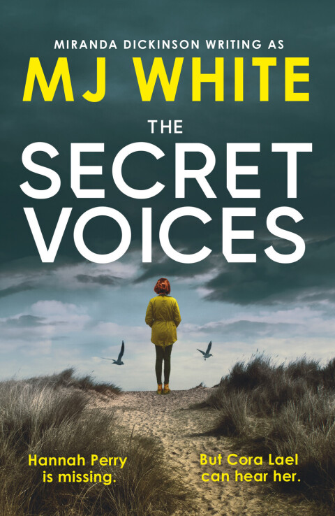 Cover image for book The Secret Voices