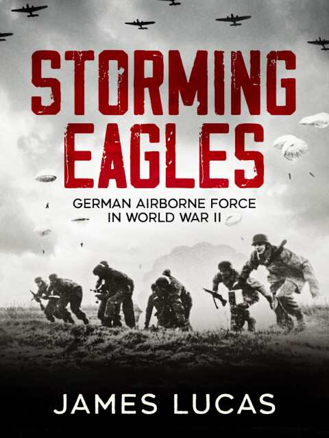 Cover image for book Storming Eagles