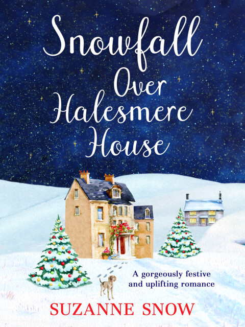 Cover image for book Snowfall Over Halesmere House