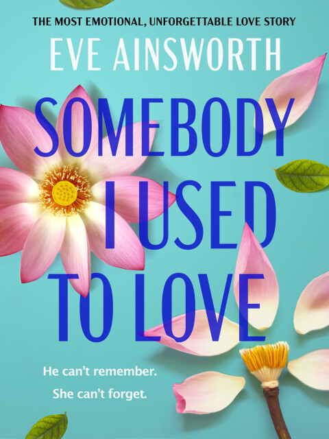 Cover image for book Somebody I Used to Love