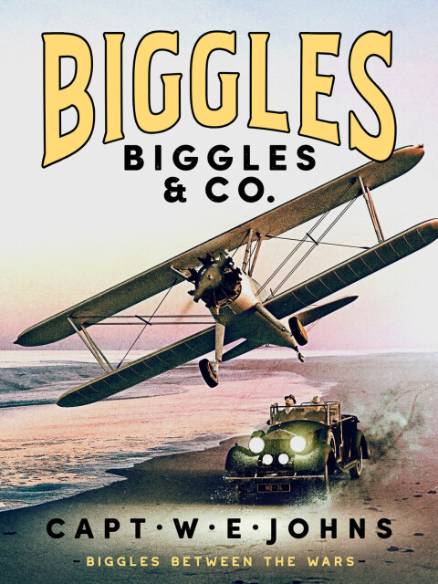 Cover image for book Biggles & Co.