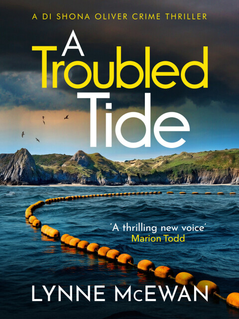 Cover image for book A Troubled Tide