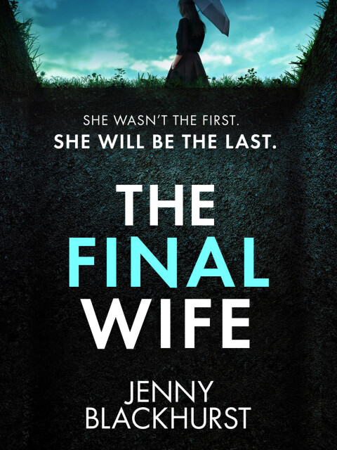 Cover image for book The Final Wife