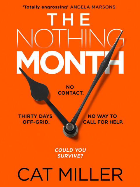 Cover image for book The Nothing Month