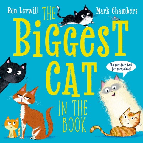Cover image for book The Biggest Cat in the Book