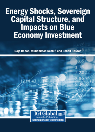 Energy Shocks, Sovereign Capital Structure, and Impacts on Blue Economy Investment