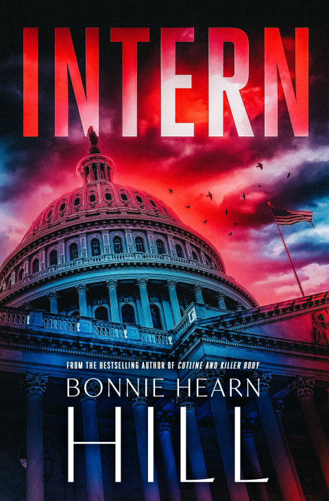 Cover image for book Intern