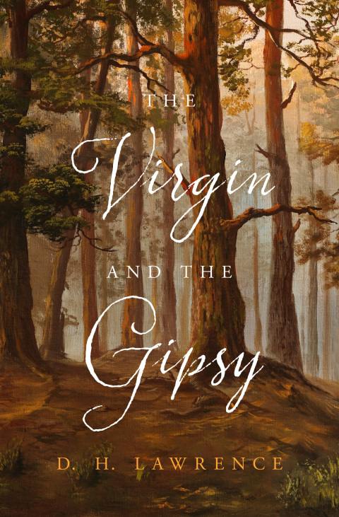 Cover image for book The Virgin and the Gipsy
