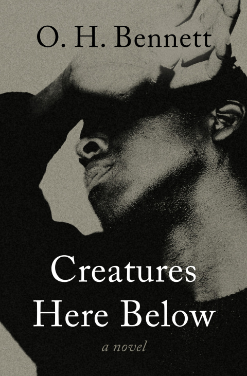 Cover image for book Creatures Here Below