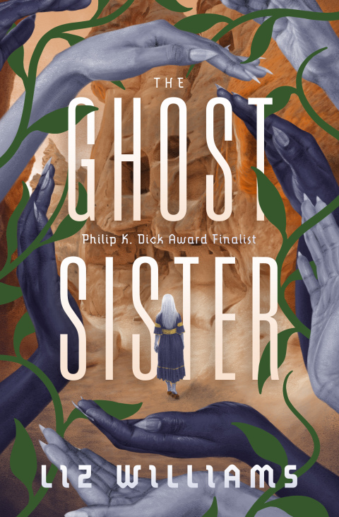 Cover image for book The Ghost Sister