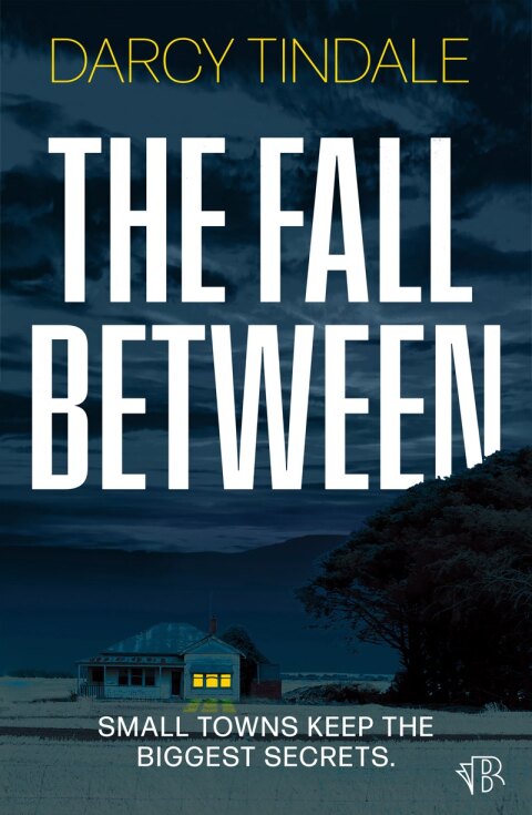 Cover image for book The Fall Between