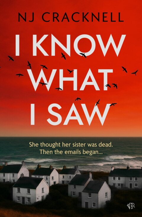 Cover image for book I Know What I Saw