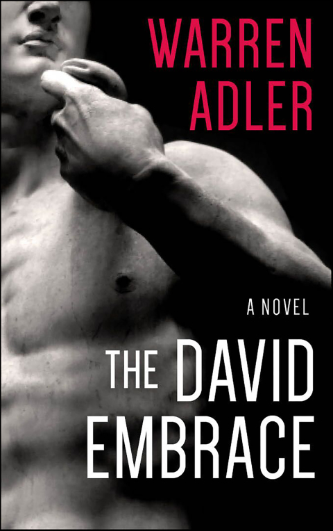 Cover image for book The David Embrace