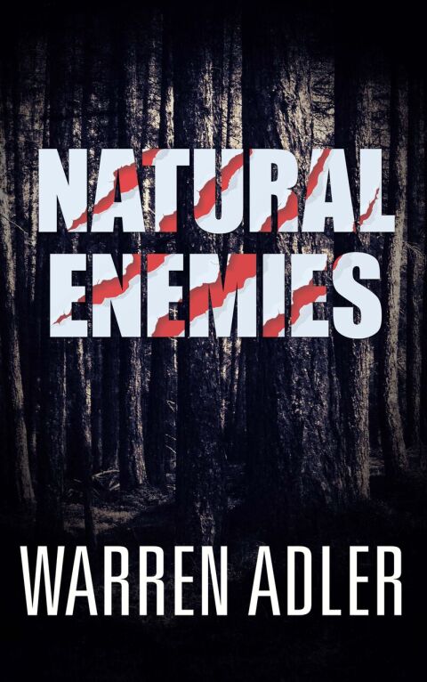 Cover image for book Natural Enemies