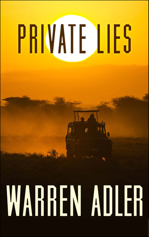 Cover image for book Private Lies