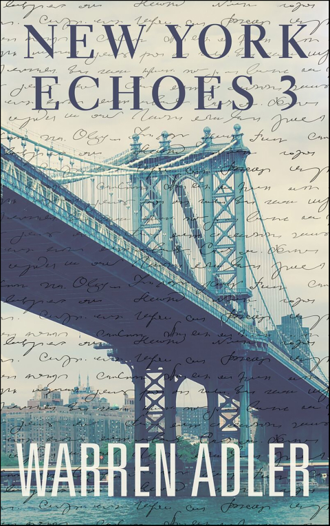 Cover image for book New York Echoes 3