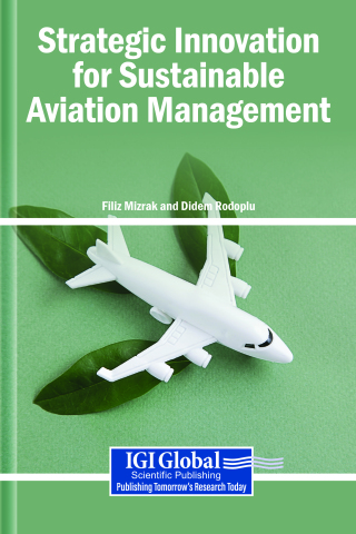 Strategic Innovation for Sustainable Aviation Management