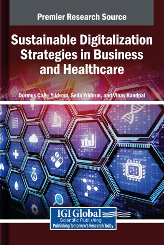Sustainable Digitalization Strategies in Business and Healthcare