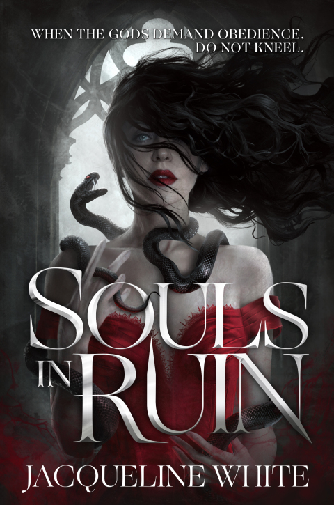 Cover image for book Souls in Ruin