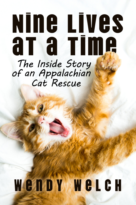 Cover image for book Nine Lives at a Time