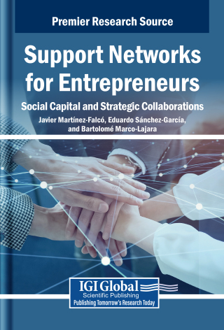 Support Networks for Entrepreneurs: Social Capital and Strategic Collaborations