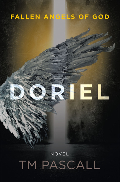Cover image for book Fallen Angels of God