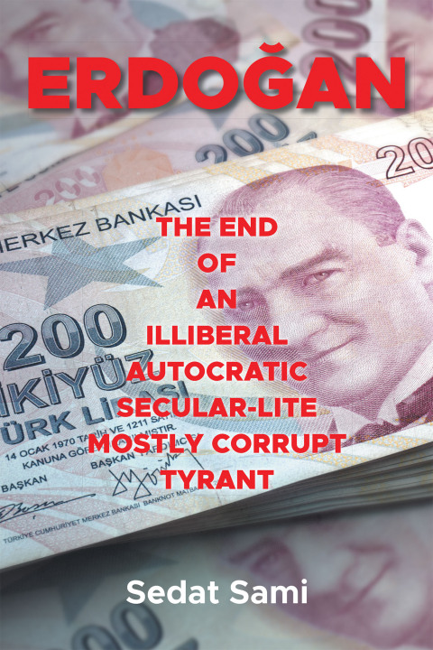 Cover image for book ERDOĞAN