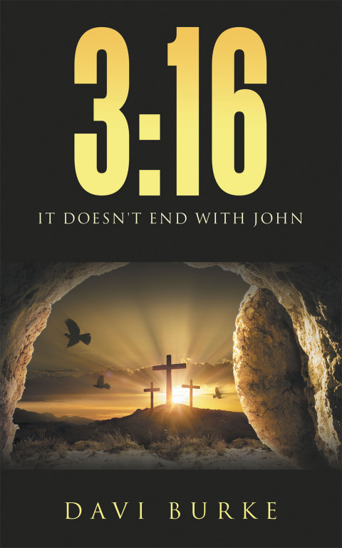 Cover image for book 3:16